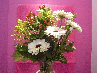 Coffee beans, solidago, and gerbera