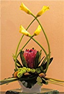 Protea and calla lilies in a vase