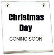 Christmas by Toronto Florist - Power Flowers Christmas by Toronto Florist - Power Flowers