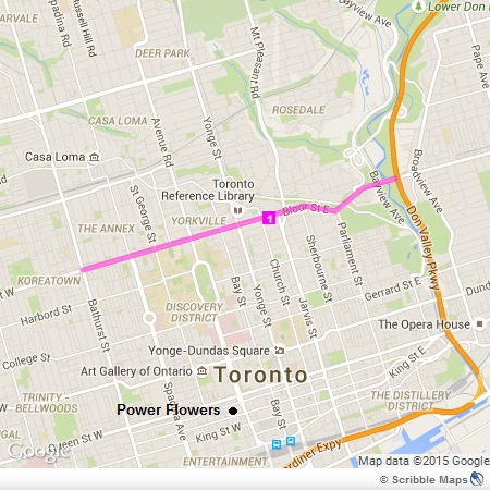 Bloor Street - Downtown Toronto