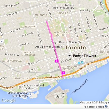 Spadina Avenue - Downtown Toronto