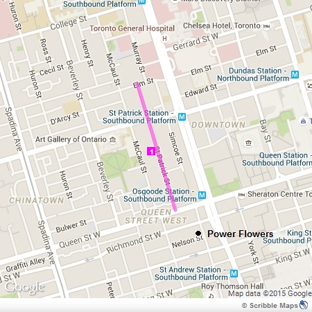 St. Patrick Street - Downtown Toronto