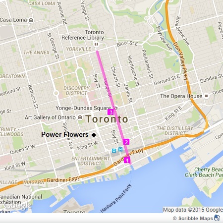 Yonge Street - Downtown Toronto