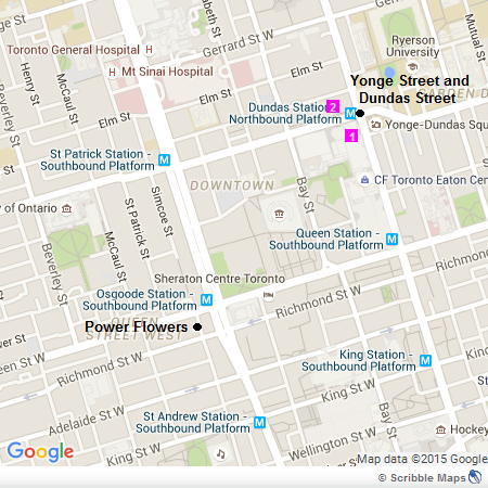Yonge Street and Dundas Street - Downtown Toronto