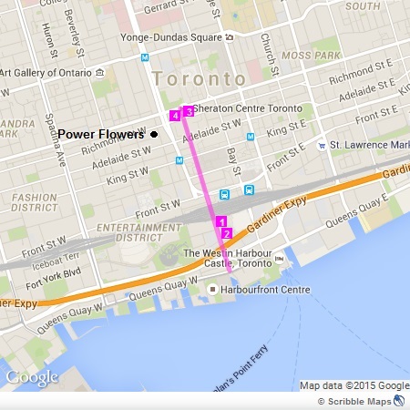 York Street - Downtown Toronto