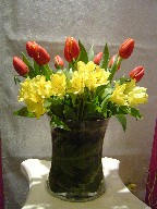 Tulips and alstroemeria