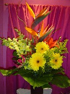 Bird of paradise, gerbera, snapdragon, solidago, coffee beans, lillies, monstera, and curly willow