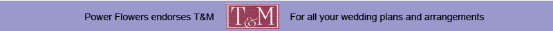 T&M