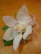 Cymbidium orchid and waxflowers