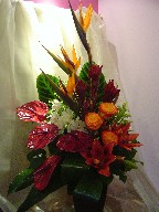 Bird of paradise, anthurium, mini cymbidium orchids, roses, eucadendron, lillies, and solidago
