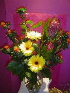 Gerbera, protea, and carthemus
