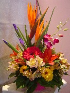 Bird of paradise, iris, dendrobium orchids, gerbera, lillies, alstroemeria, daisies, and waxflowers