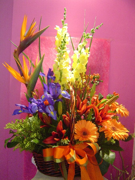 Bird of paradise, snapdragon, iris, kangaroo paw, gerbera, lilies, solidago, hypericum, alstroemeria, and daisies