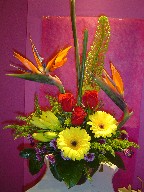 Bird of paradise, eremurus, roses, gerbera, lillies, solidago, and daisies