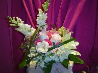 Snapdragon, roses, alstroemeria, waxflowers. lillies, and monkey grass