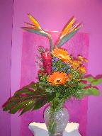 Bird of paradise, gerbera, ginger, monte casino blue, coffee beans, and monstera