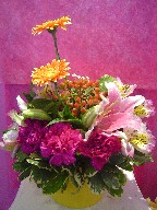 Carnations, alstroemeria, berries, mini gerberas, lillies, and variegated pitt
