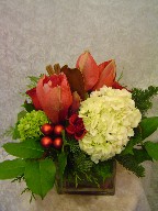 Hydreangea, amaryllis, roses, and Christmas decorations