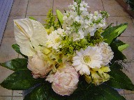 Peonis, gerbera, anthurium, alstroemeria, lillies, stock, and solidago