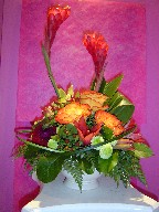 Circus roses, lillies, dahlia, ginger, pom poms, coffee beans, and monkey grass