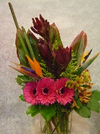 Bird of paradise, gerbera, eucadendron, alstroemeria, solidago, and cordyline