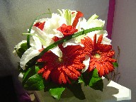 Roses, gerbera, lillies, and monkey grass