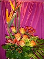 Bird of paradise, roses, pompoms, solidago, coffee beans, and monstera
