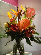 Anthurium, bird of paradise, protea, alstroemeria, lillies, snapdragon, and monstera
