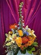 Protea, delphinium, roses, shocking lillies, daisies, alstroemeria, and genest