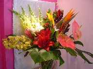 Bird of paradise, anthurium, iris, protea, cymbidium orchids, monstera, eucadendron, lillie, and coffee beans
