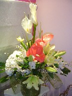 Calla lillies, anthurium, lillies, iris, hydreangea, alstroemeria, and genest