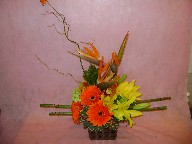 Bird of paradise, gerbera, lillies, cymbidium orchid, hypericum, curly willow, pom poms, and variegated pitt