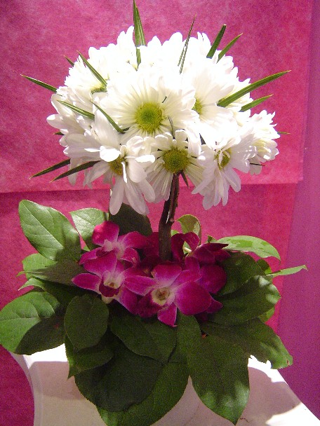 Daisies and dendrobium orchids