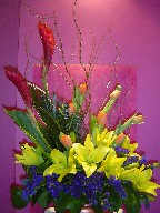Ginger, curly willow, tulips, sago, statice, and lillies