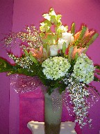 Genest, hydrangea, cymbidium orchids, philodendron, lillies, and roses
