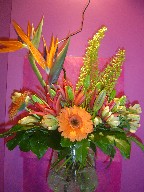 Eremurus, alstroemeria, lillies, bird of paradise, tulips, gerbera, and monstera