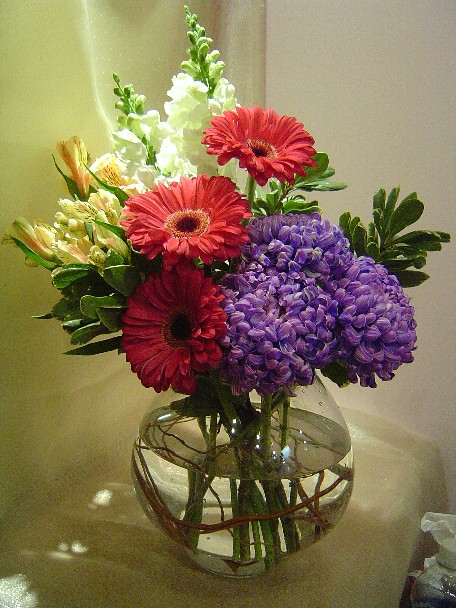 Commercial mums, gerbera, snapdragon, alstroemeria, and variegated pitt
