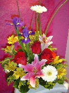 Stargazer, iris, gerbera, alstroemeria, solidago, and roses