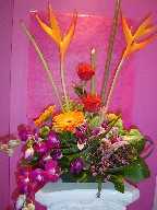 Heliconia, roses, gerbera, stargazer, orchids, pompom, waxflowers, and solidago
