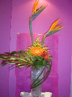 Monstera, gerbera, solidago, alstroemeria, bird of paradise, and bear grass
