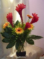 Ginger, gerbera, solidago, and fatsia japonica