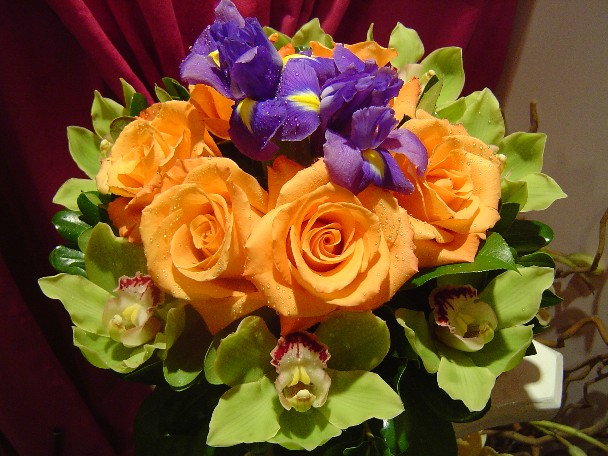 Cymbidium orchids, iris, and roses
