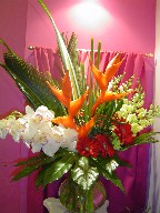Heliconia, sago palm, cymbidium orchids, snapdragon, gerbera, coffee beans, aralia-fatsia, and tea leaves