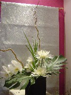 Orchids, monstera, spider mum, iris, and curly branch