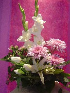 Gladiolas, bovadia, tulips, lillies, eucalyptus, and commercial mum