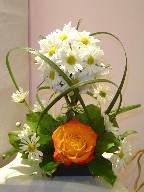 Daisies, rose, and monkey grass
