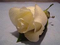 Boutonniere