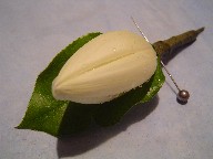 Boutonniere