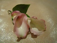 Boutonniere