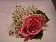 Corsage
